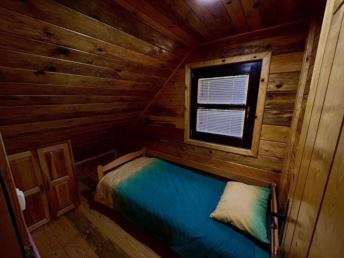 Zaovinski Cardaci Case de vacanță